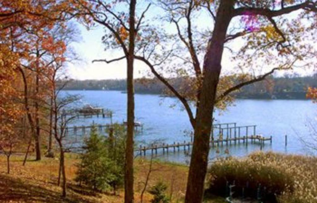 Laurel Grove Inn Riva Номер фото